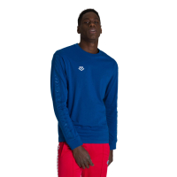 �������� � ������� ������� ������� Arena Icons Long L/S Team FW20